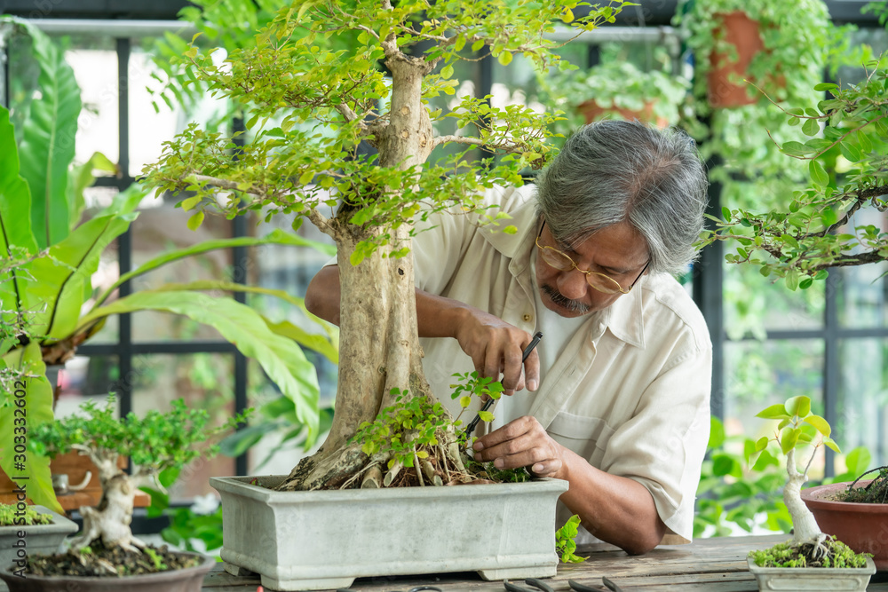 defekt hypotese infrastruktur Happy relax asian senior man enjoying with his garden. Retirement old man  gardening his tree plant in his greenhouse. Retirement senior old age hobby  lifestyle and mental health care concept. Stock Photo 