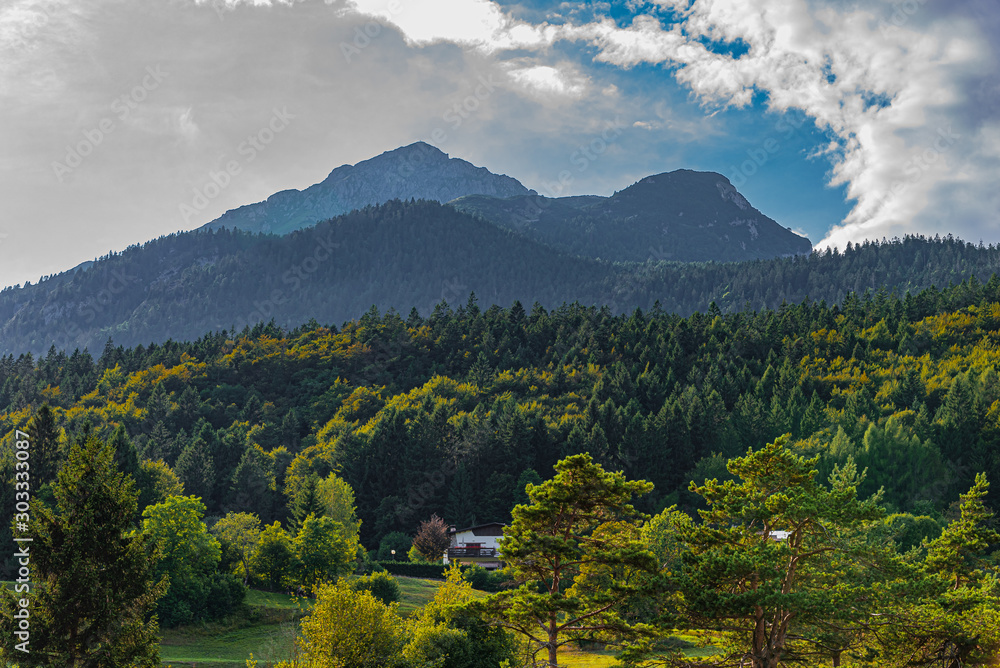 Fototapeta premium landscape with mountains and trees