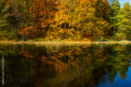 Fototapeta Naklejka Na Ścianę i Meble -  Lake shore with autumn landscape reflected in the water