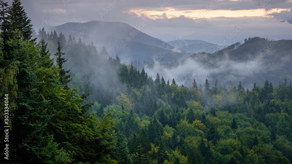 Obraz premium Misty mountains in Slovakia