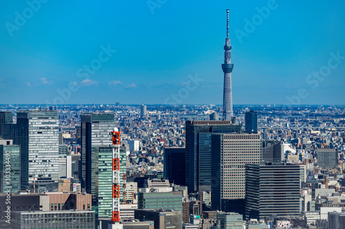 東京の街並み 銀座方面と東京スカイツリー © novitaly