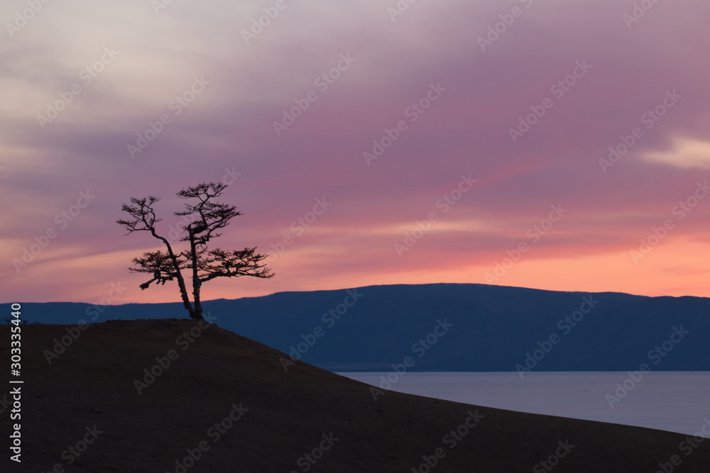 Panorama pink sunset,misty hills mountain tops in pink dawn Panorama pink sunset,misty hills mountain tops in pink dawn