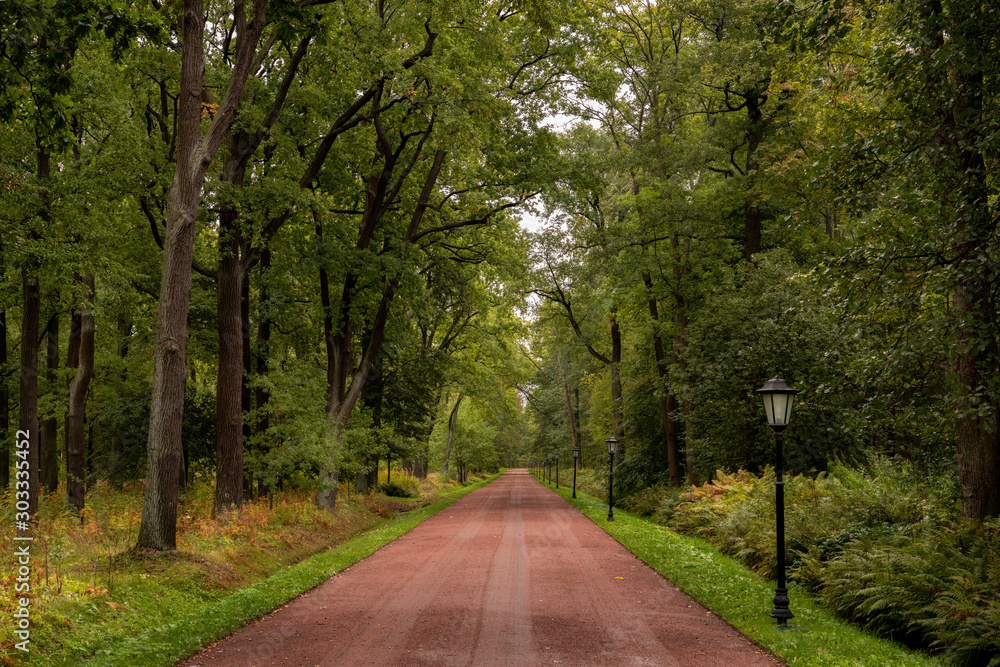 Obraz premium Alexandria Park on a rainy autumn morning, Peterhof, St. Petersburg, Russia
