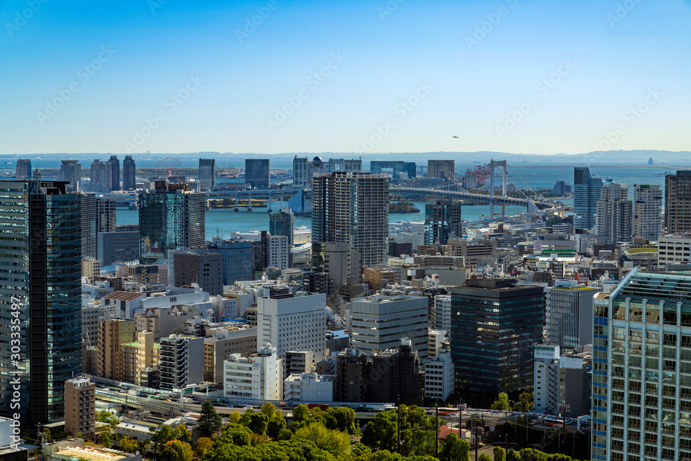Obraz premium 東京の街並み