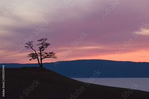 Panorama pink sunset,misty hills mountain tops in pink dawn