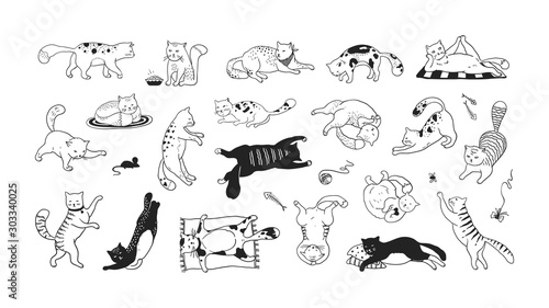 Hand drawn cats. Funny and cute pets, doodle black different kittens and cats sitting lying and playing. Vector collection ink sketch trendy image characters joyful play kitty © SpicyTruffel
