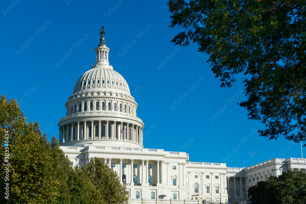 Obraz premium United States Capitol Building framed by Green Trees in Washington D.C.