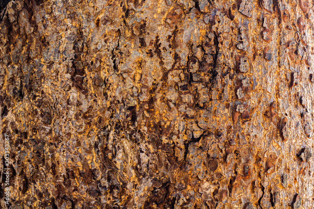 Embossed texture of the brown bark Tree bark texture Embossed texture of the brown bark Tree bark texture