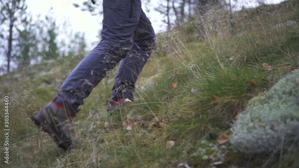 American man climbs mountain during walk in forest on autumn day. Young guy walking and enjoying adventure in countryside in fall season. Adult tourist having weekend in outside. Concept: sport American man climbs mountain during walk in forest on autumn day. Young guy walking and enjoying adventure in countryside in fall season. Adult tourist having weekend in outside. Concept: sport