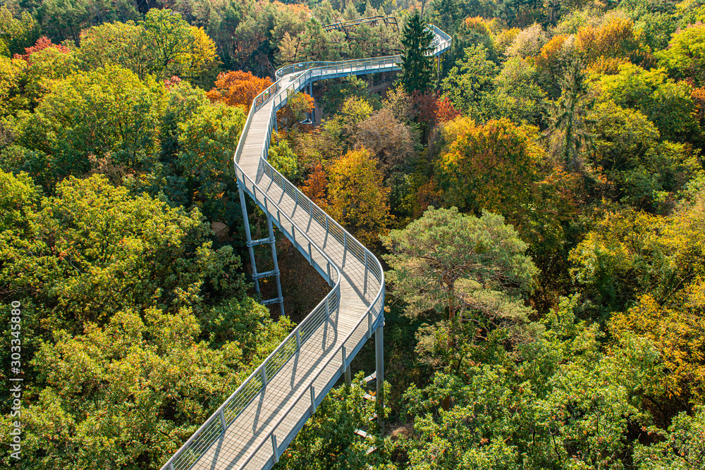 Fototapeta A beautiful view of the treetop path, located in Beelitz, a small city near Berlin in Brandemburg, Germany