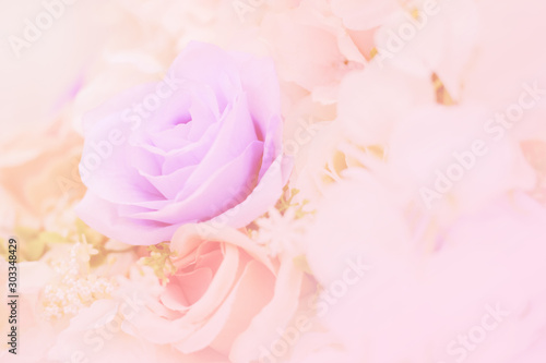 Fototapeta Naklejka Na Ścianę i Meble -  Blurred of rose flowers pink blooming. in the pastel color style for background.