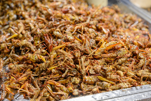 The Fried insects-thai