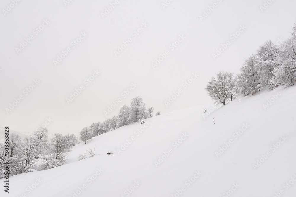 Minimalistic winter landscape in cloudy weather with snowy trees. Carpathian mountains, Landscape photography