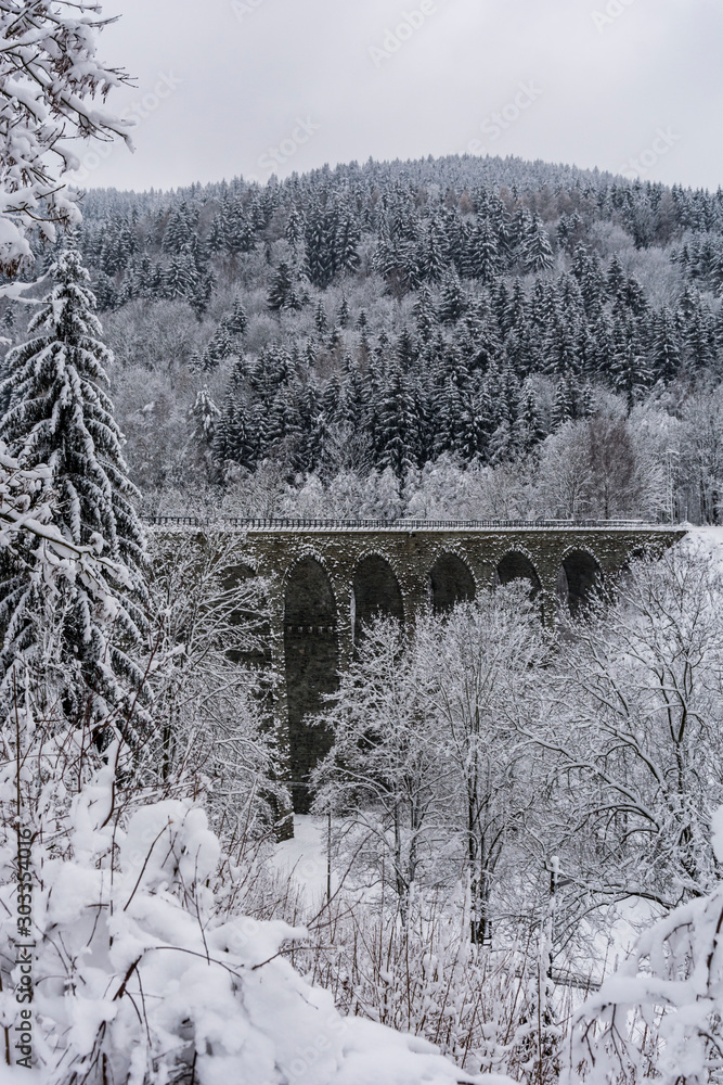 White landscape in winter with snow. Snowed trees and railway viadukt. Typically winter landscape in Czechia.