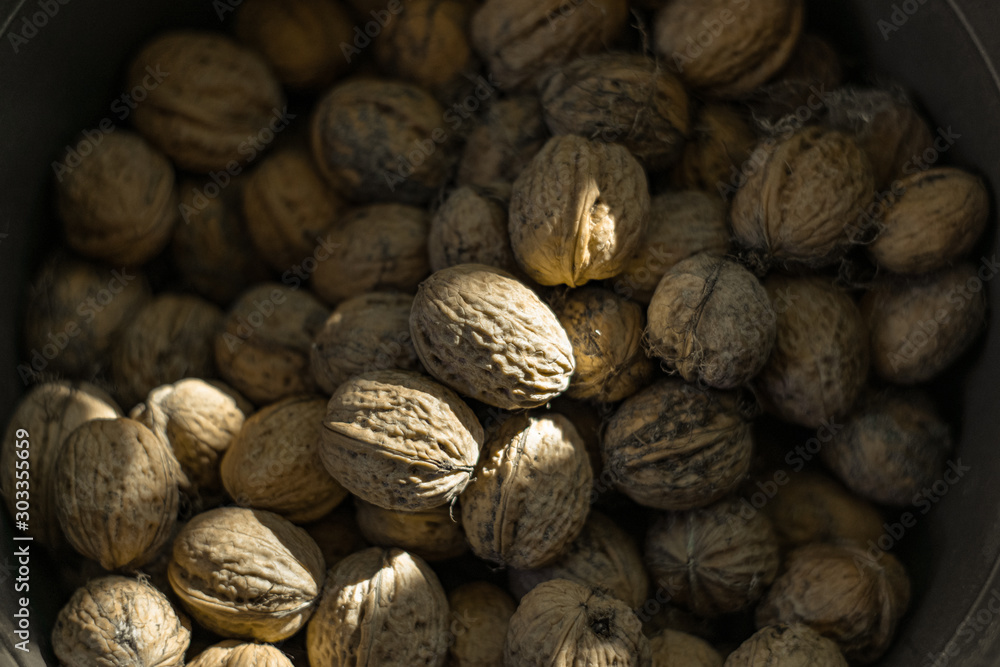 A pile of walnuts. Full bucket of ripe walnuts A pile of walnuts. Full bucket of ripe walnuts
