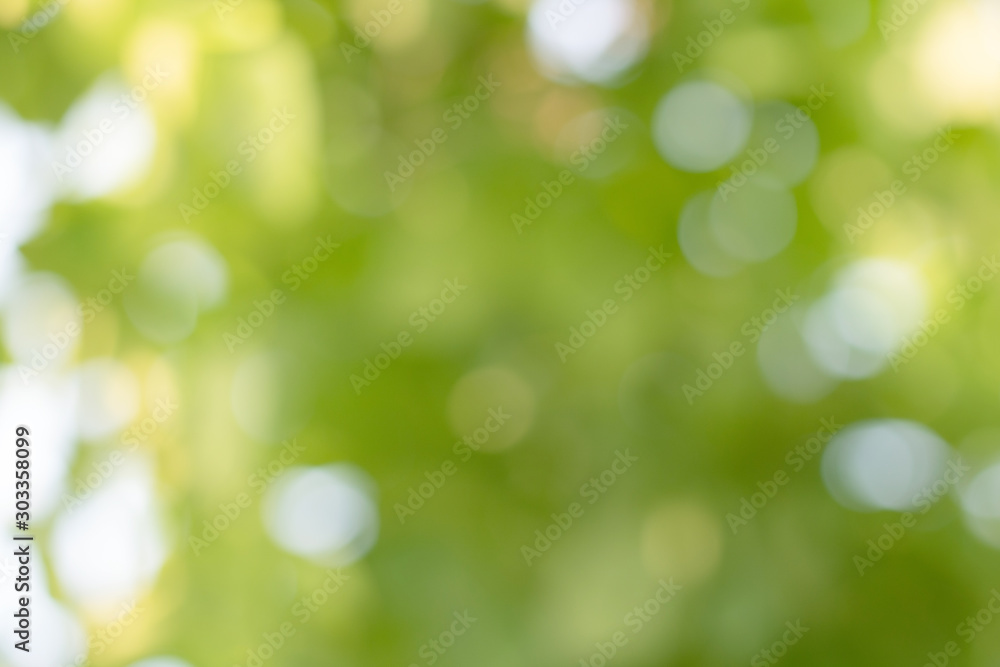 Bokeh of Tree Leaves for nature background and save green concept,soft and blur out of focus, made with gradient and filter colored. Bokeh of Tree Leaves for nature background and save green concept,soft and blur out of focus, made with gradient and filter colored.