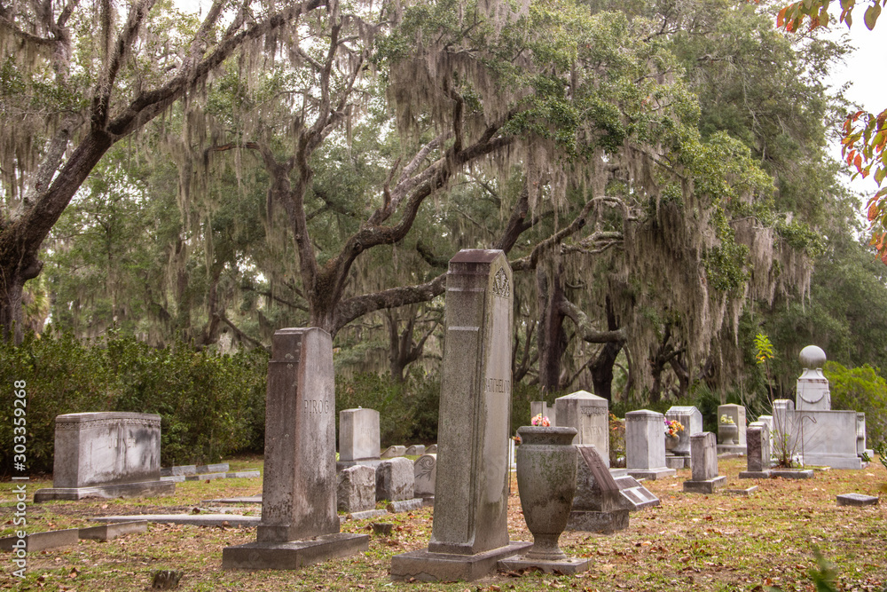 Fototapeta premium Bonaventure Cemetery