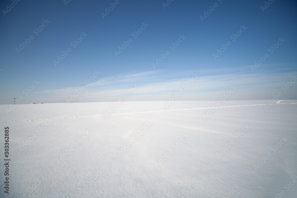  snowy field in winter. Winter landscape with  snowy fields