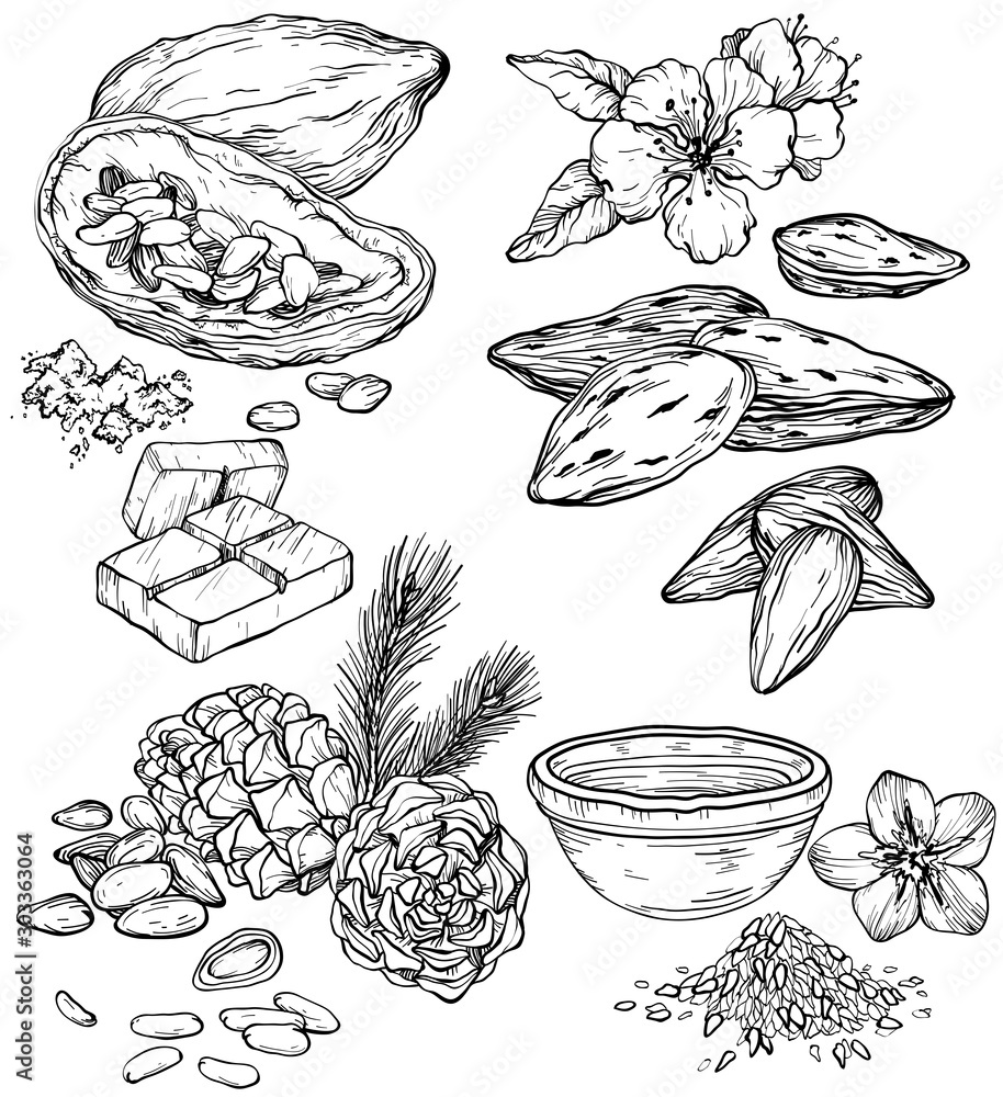 Vector set of food and cosmetic care ingredients. Organic hand drawn oils.