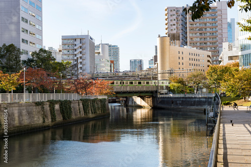 東京都品川区五反田の秋の目黒川の風景