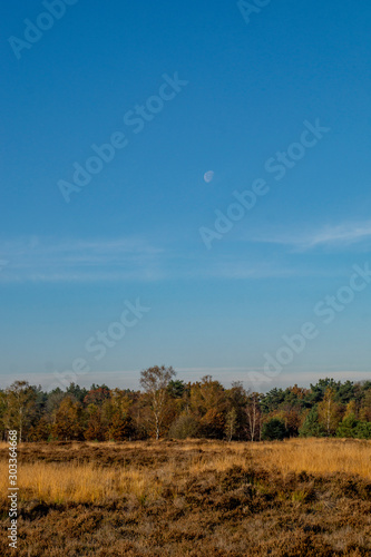 moorland landscape with blue sky and moon