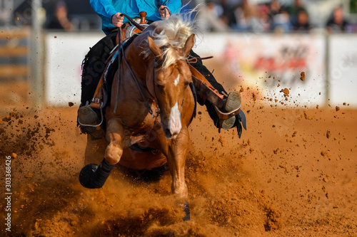 The front view of a rider stopping a horse in the sand.	 photo