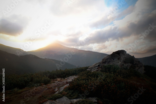 Cloudy sunset through forest in Carpathians mountains 