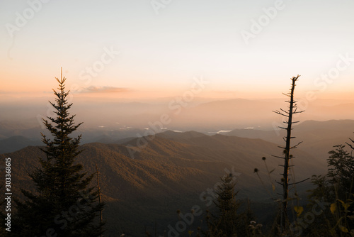 Foggy sunset through forest in great smoky mountains 