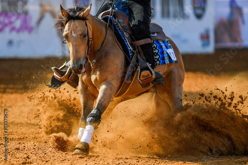 The close-up view of a rider stopping a horse in the sand. 