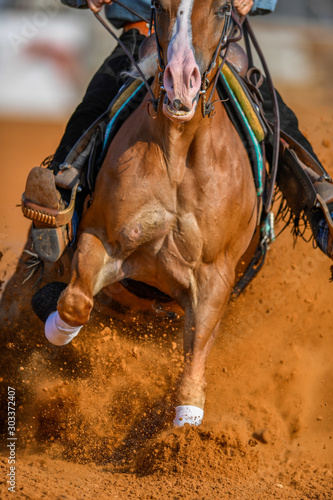 The front view of a rider stopping a horse in the sand. 