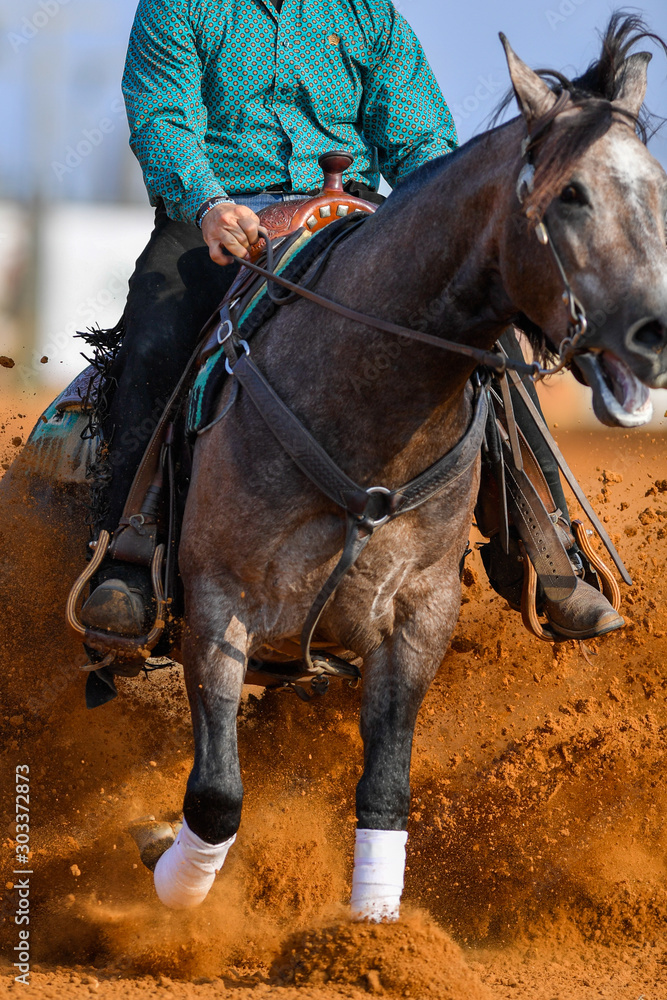 Obraz premium The close-up view of a rider stopping a horse in the sand. 