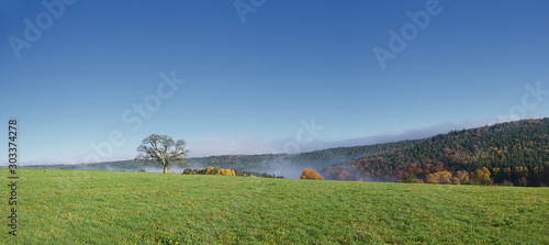 Feld mit aufsteigendem Nebel photo