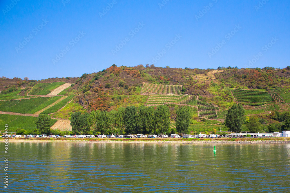 Fotografie Terraced vineyard along the Rhine River in Germany
