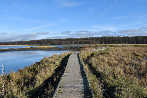 Wooden footbridge through a marshland