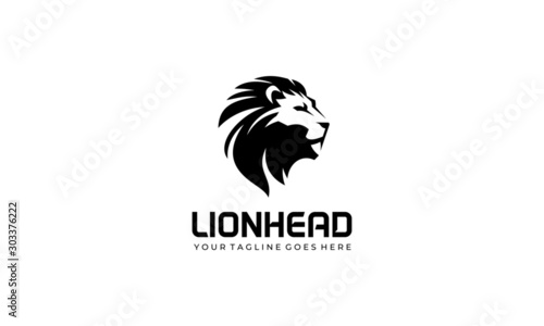Lion Logo Vector White Background