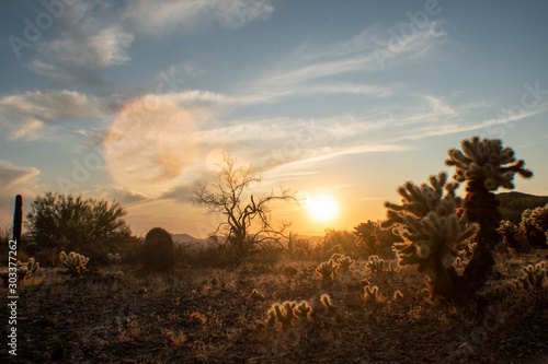 Sonoran Desert in the late afternoon