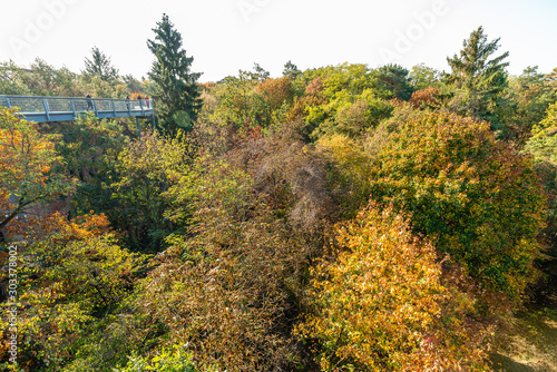 The treetop path through the mixed forest at the Beelitz near Berlin in Germany. Very colorful, sunny autumn day with lush foliage.
