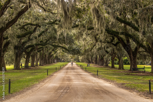 Eichenallee der Boone Hall Plantation