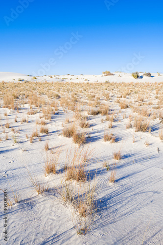 White Sands Gypsum Dunes