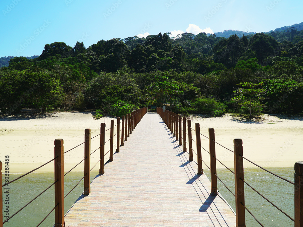 pier at the turtle beach in front of rainforest