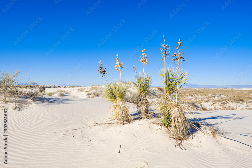 White Sands National Park in New Mexico White Sands National Park in New Mexico