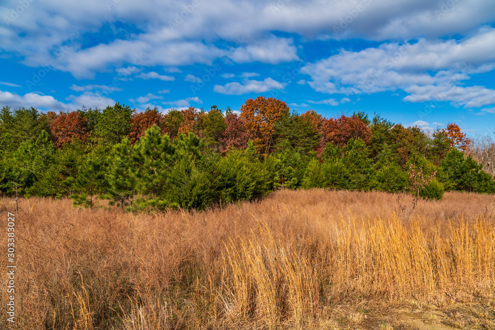Rural Autumn Landscape Rural Autumn Landscape