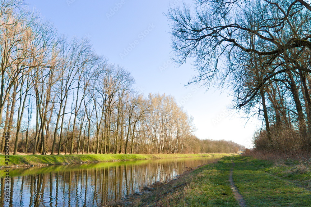 Beautiful natural scenery of river and forest Beautiful natural scenery of river and forest