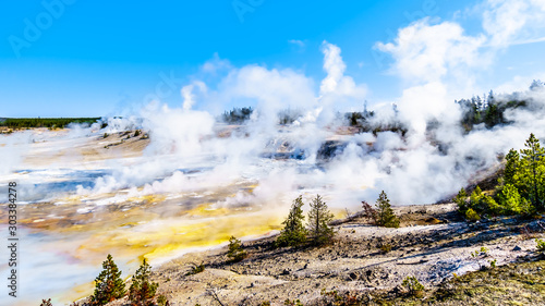 Colloidal Pool and other Geysers under blue sky in the Porcelain Basin of Norris Geyser Basin area in Yellowstone National Park in Wyoming, United States of America