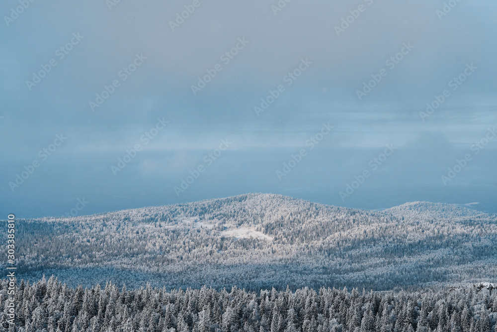 Snowy winter forest and mountains