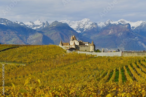 castle and vineyards in autumn 