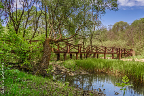 The bridge under tree in the park