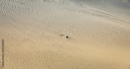 Strand Sandd  ne Meer Farewell Spit in Neuseeland