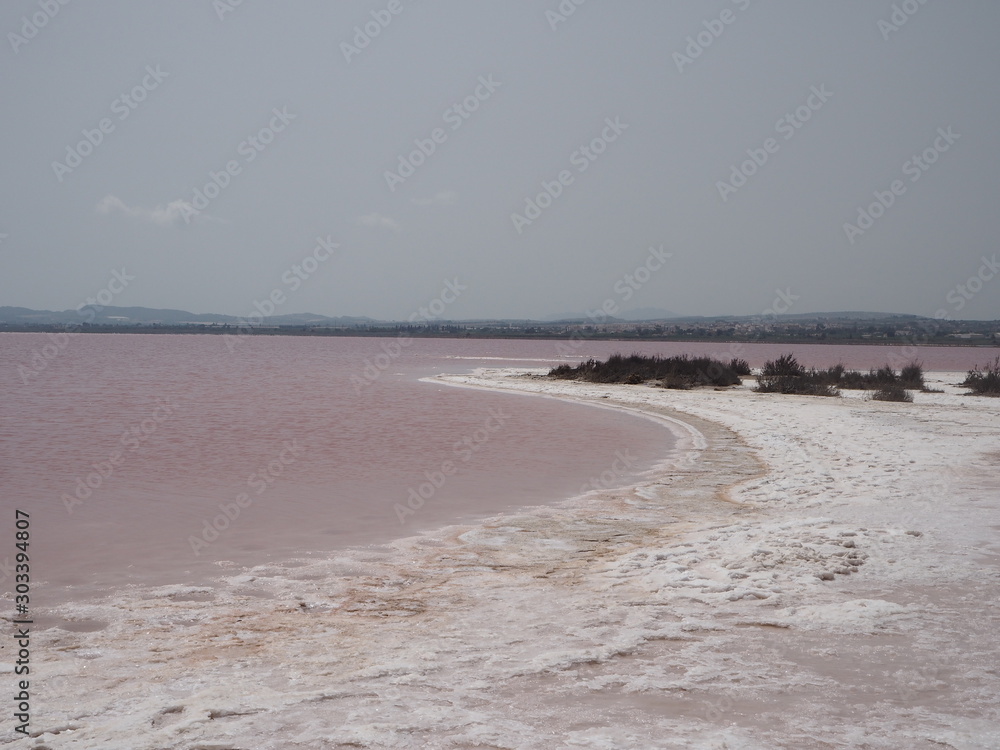 The Pink Lake of Torrevieja Spain