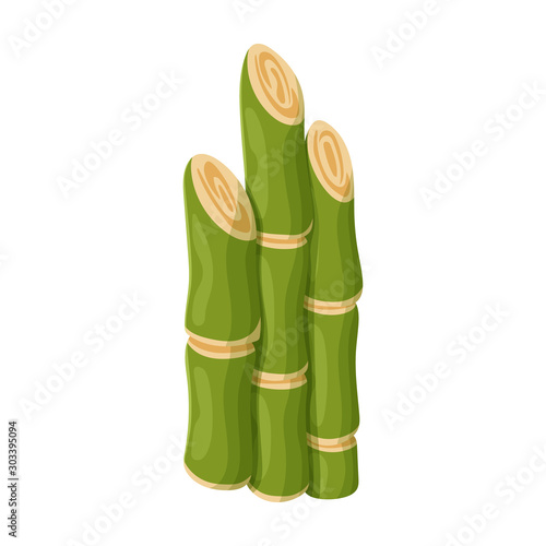 Stem of sugar cane vector icon.Cartoon vector icon isolated on white background stem of sugar cane .